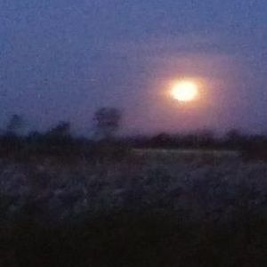 Meet your Posher, Catie